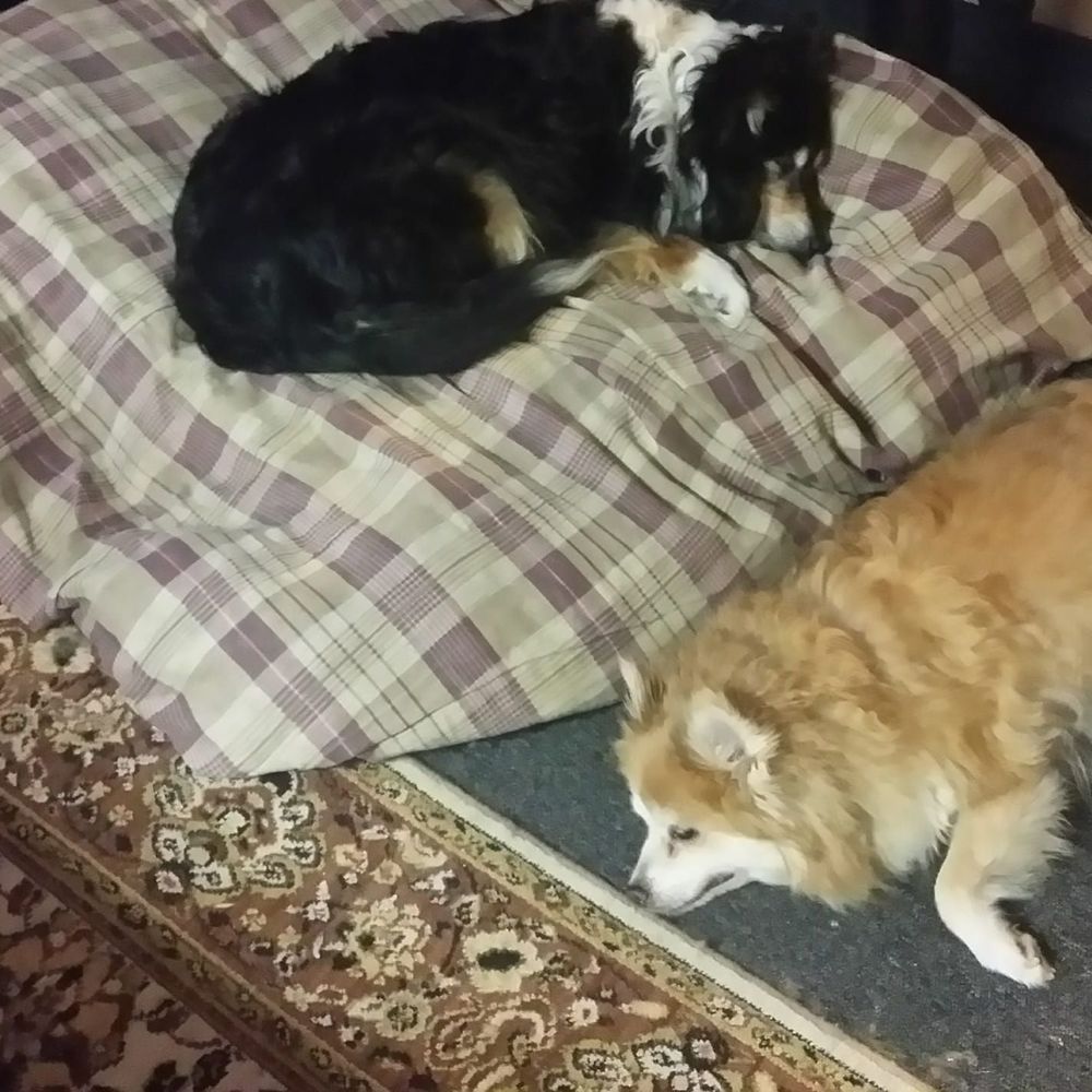 Meet your Posher, Bill